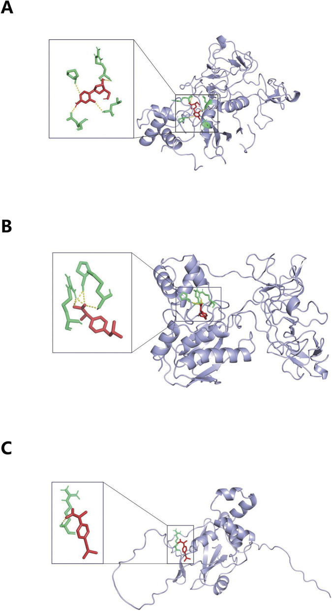 FIGURE 8