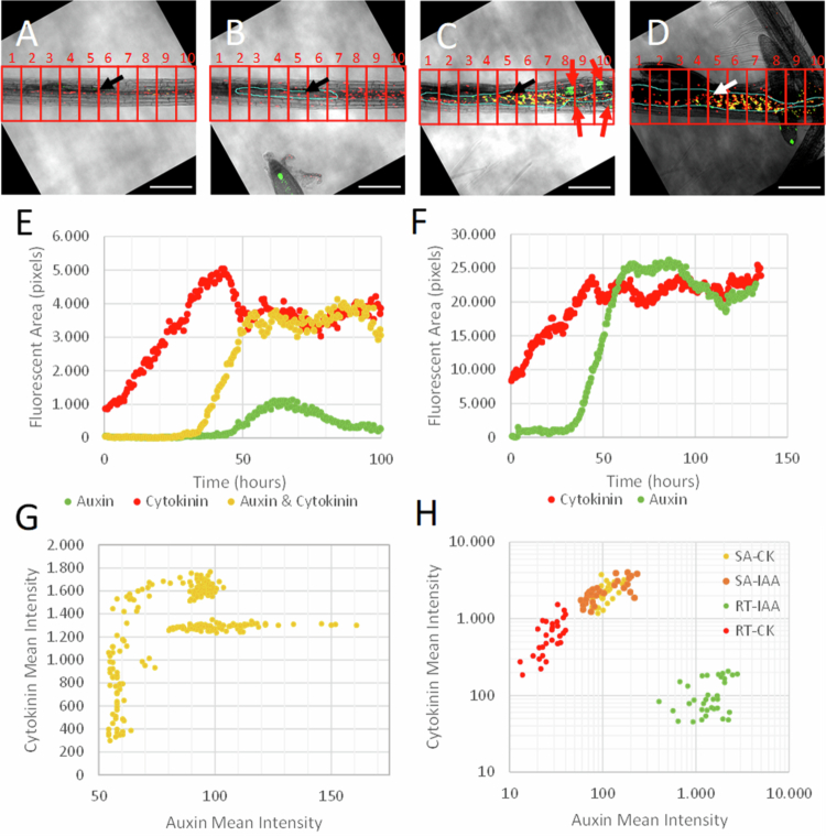 Figure 6