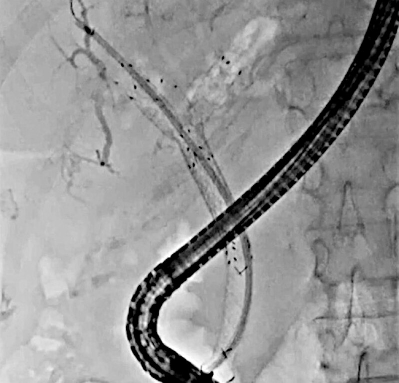 Fig. 5