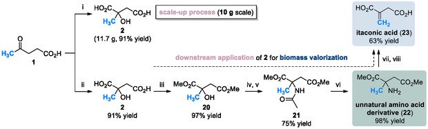 SCHEME 5