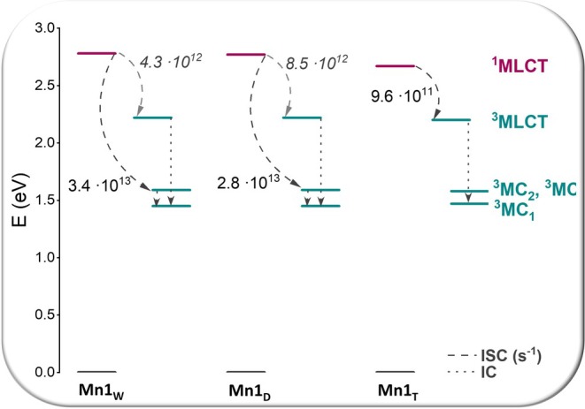 FIGURE 4