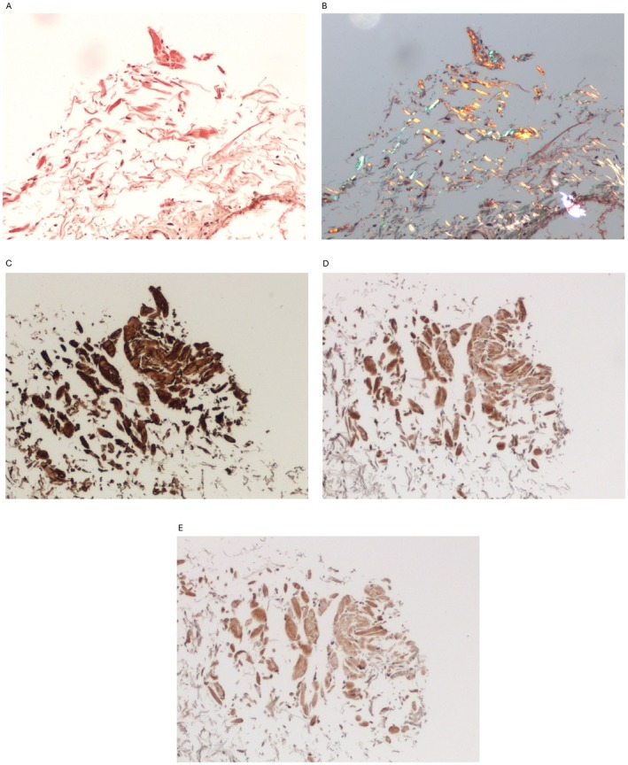 FIGURE 1