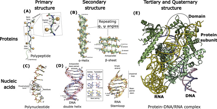 FIGURE 2