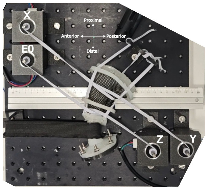 Figure 1