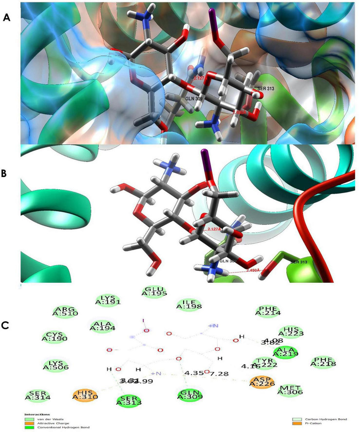 FIGURE 13
