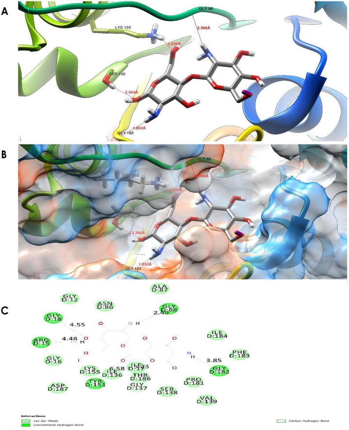 FIGURE 14