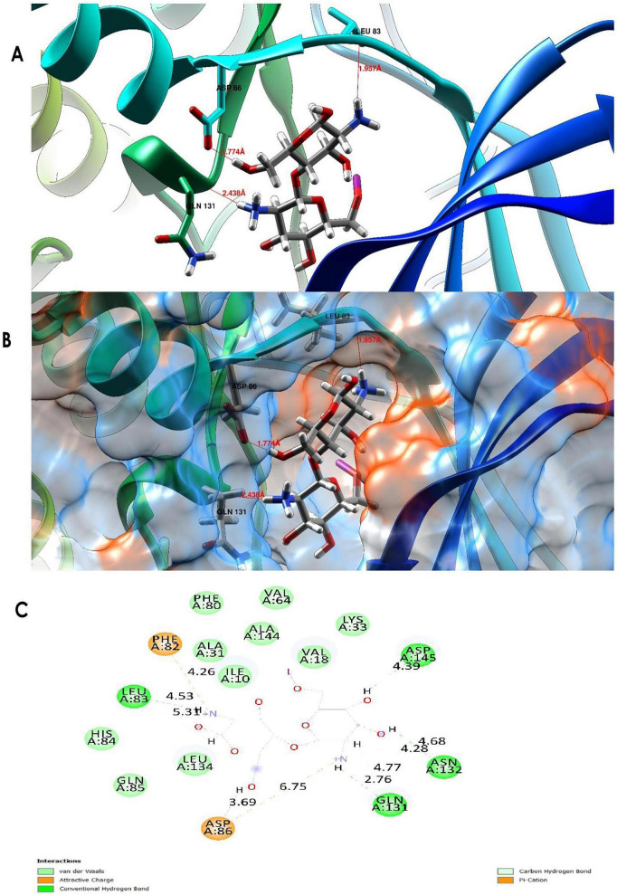 FIGURE 15