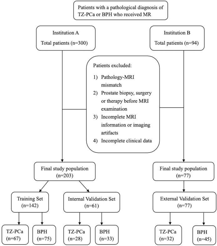Figure 1
