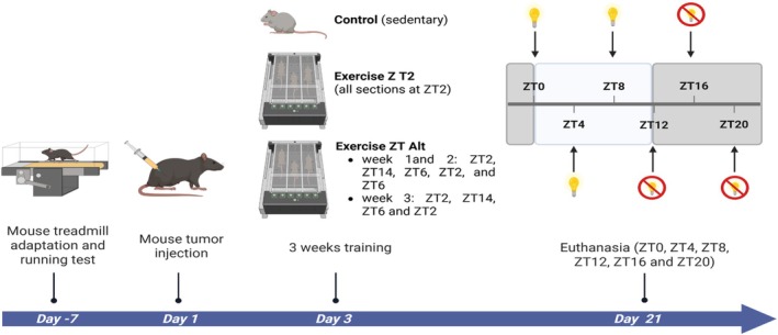 FIGURE 1