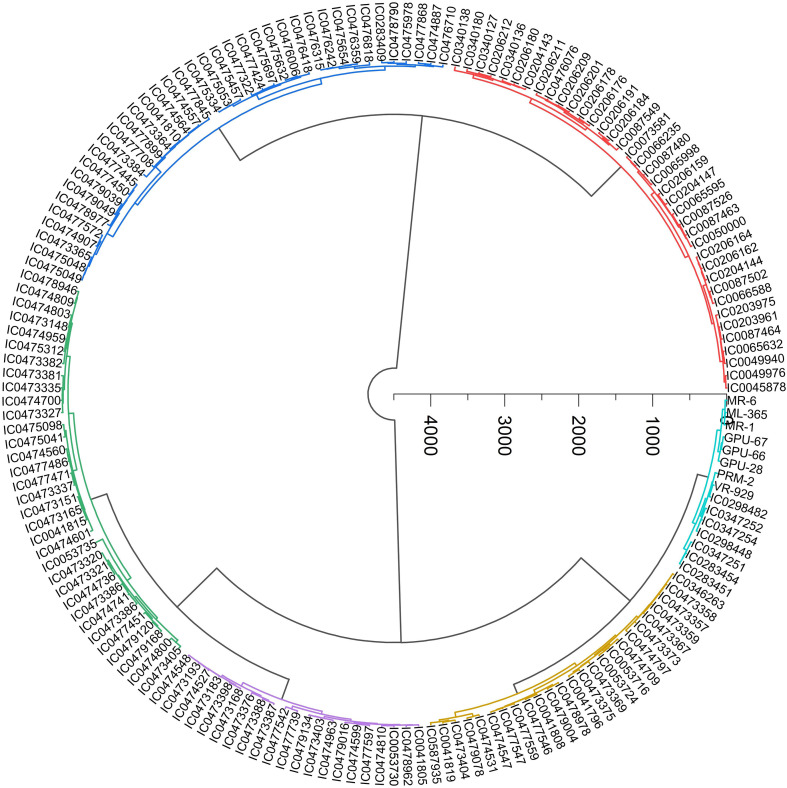 Figure 6