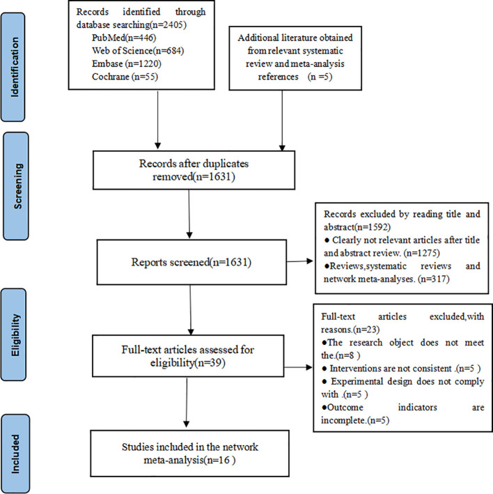 Figure 1