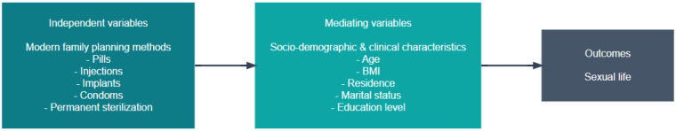 Figure 1