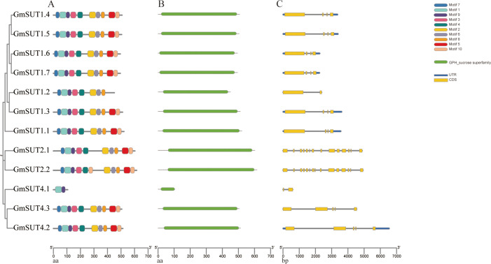 Figure 2