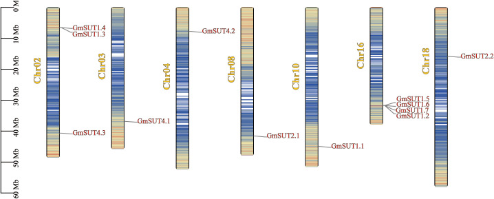 Figure 3