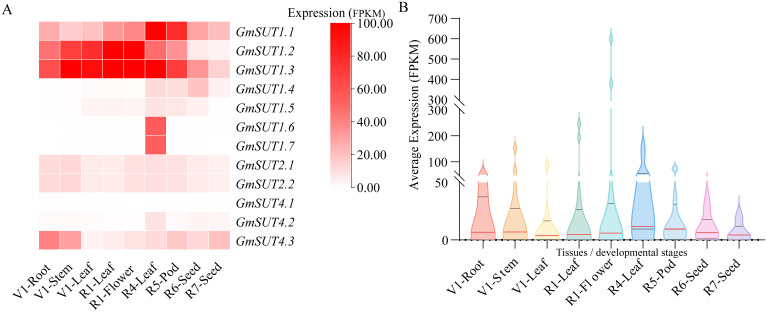 Figure 7