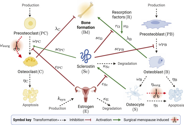 FIGURE 2