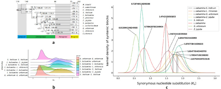 Figure 2