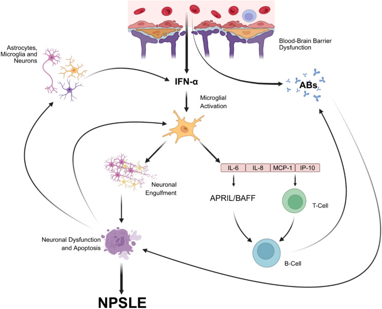 Figure 2