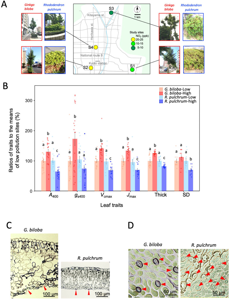 Figure 1