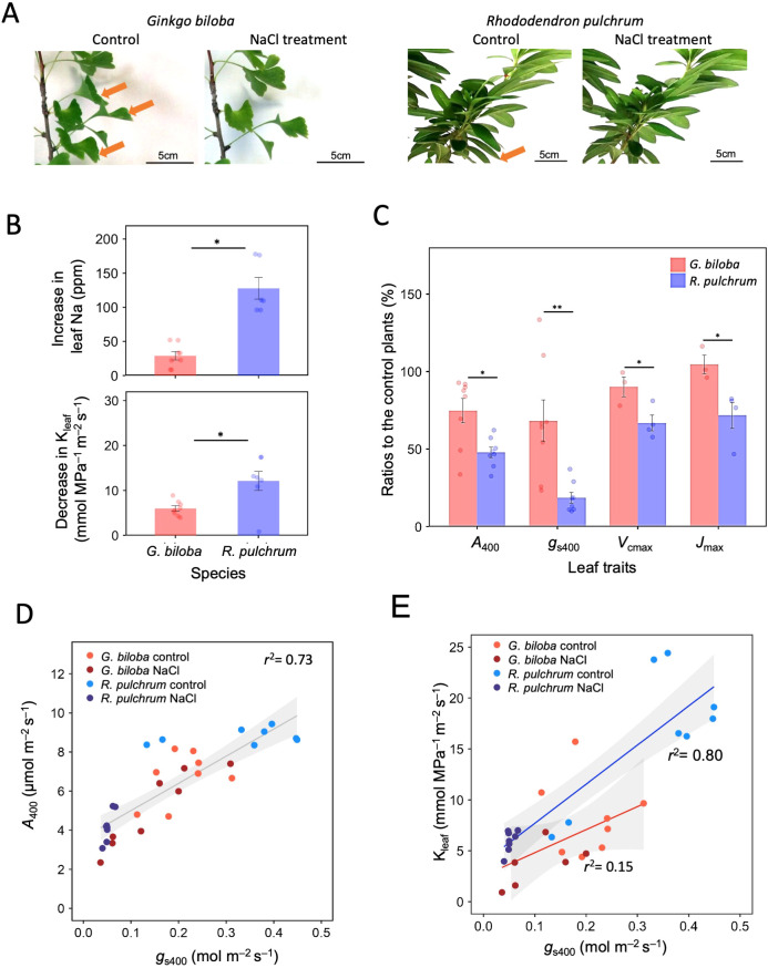Figure 2