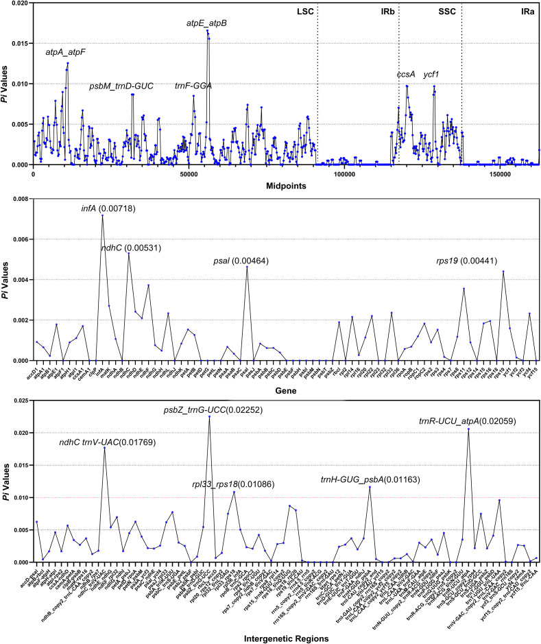 Figure 6