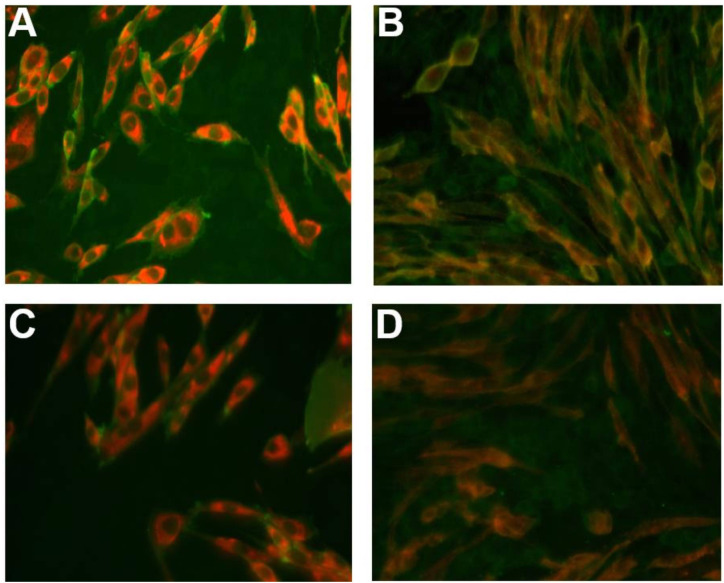 Figure 3