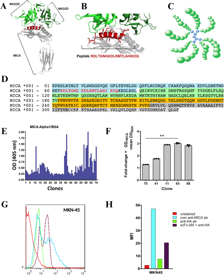 Figure 1