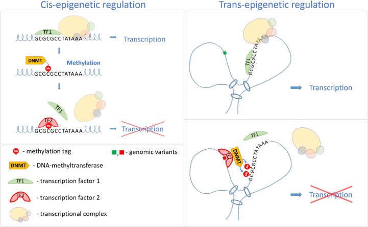 Figure 3