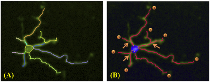 Figure 2