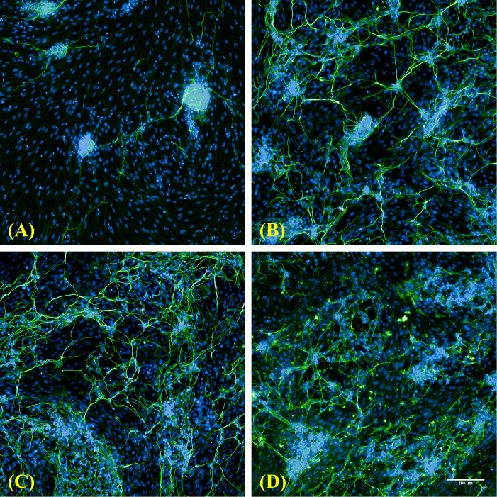 Figure 3