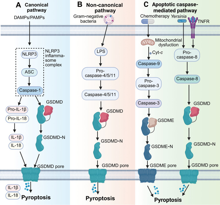 Figure 3