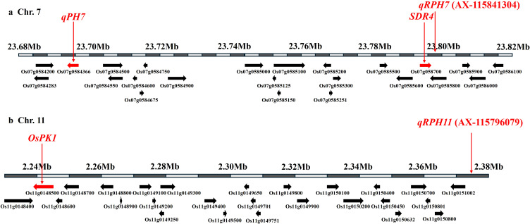 Figure 5