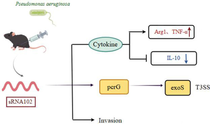 Figure 5