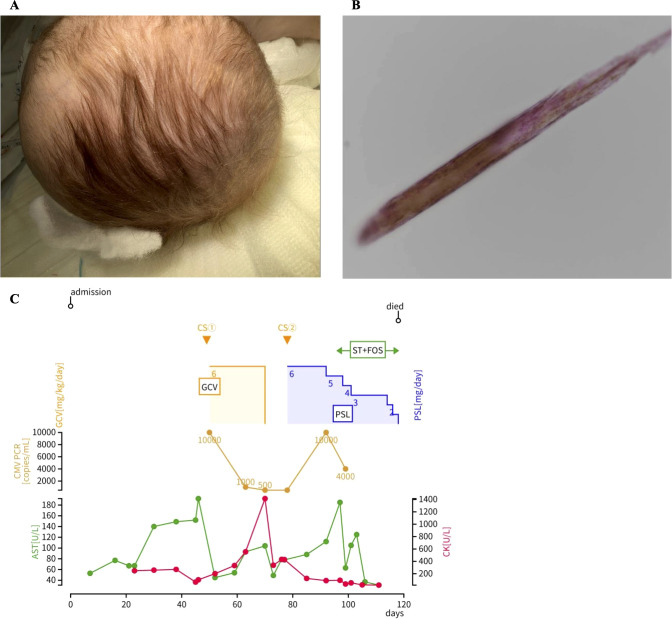 Figure 1
