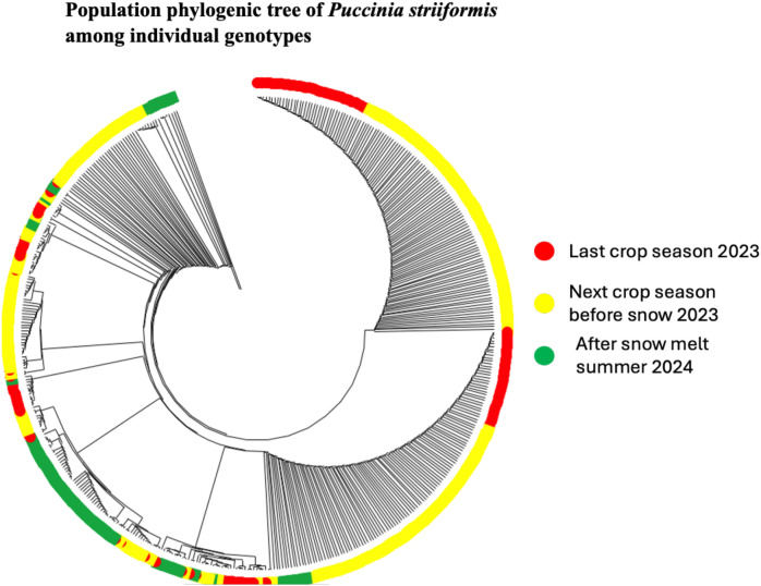 Figure 2