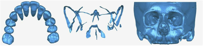 FIGURE 1