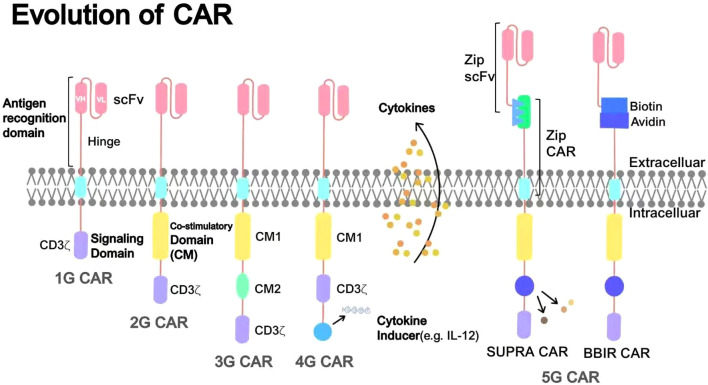 Figure 3