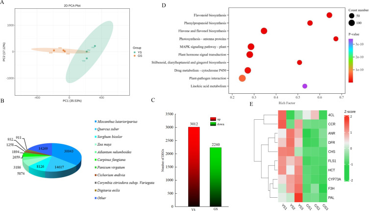Figure 4
