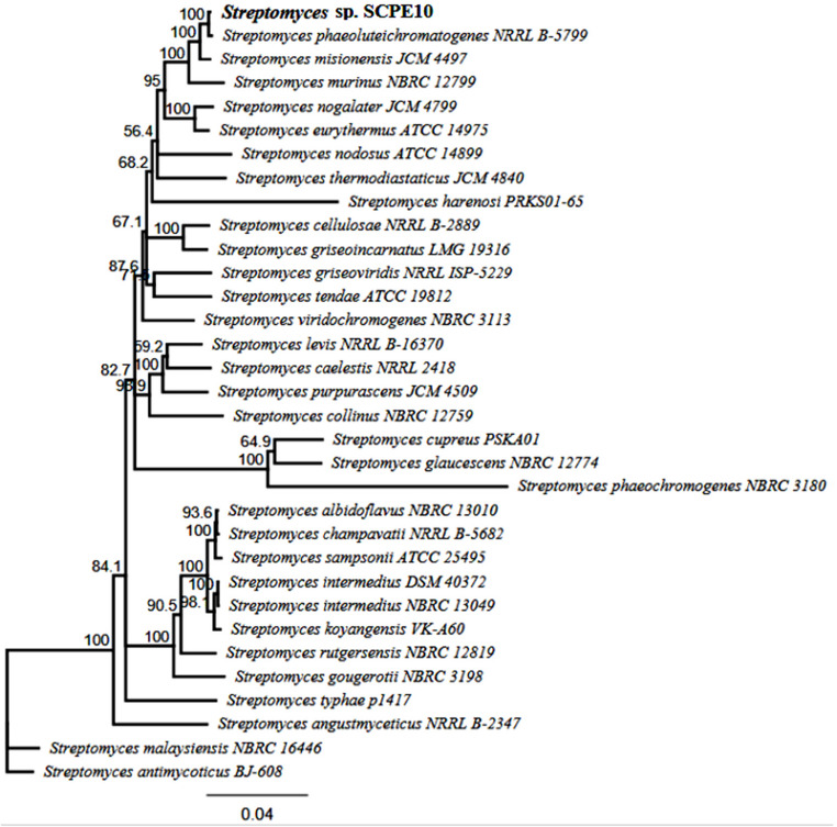 Figure 4
