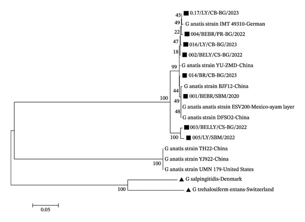 FIGURE 3