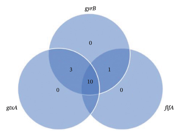 FIGURE 2