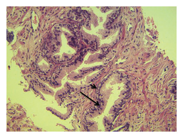 FIGURE 1