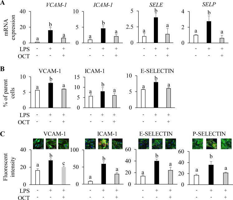 Figure 3