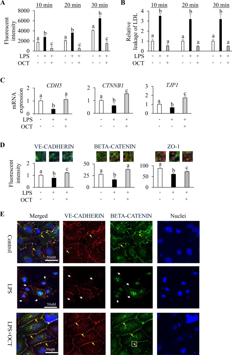 Figure 4