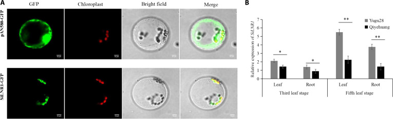 Fig. 7