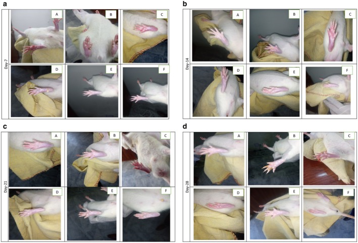 FIGURE 4