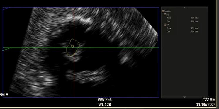 Figure 7