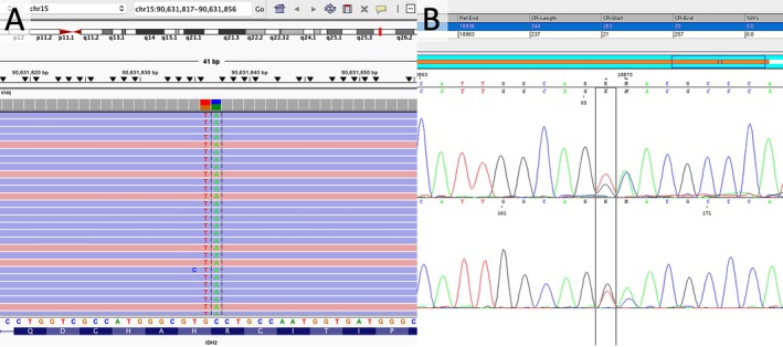 FIGURE 2