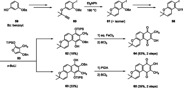SCHEME 8