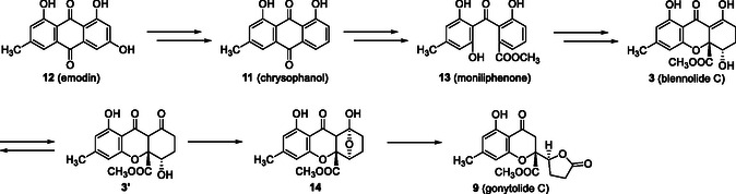 SCHEME 1